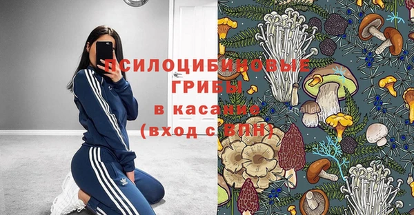 2c-b Приозерск